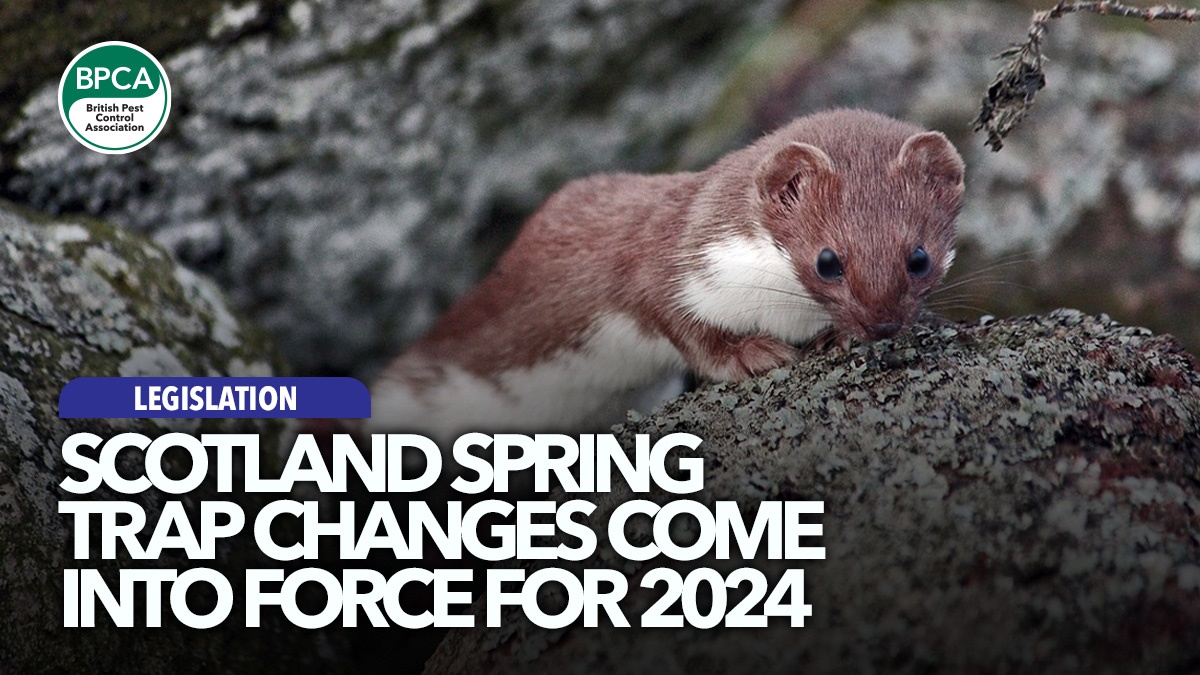 scotland-spring-trap-changes-in-2024-hero scotland-spring-trap-changes-in-2024-hero